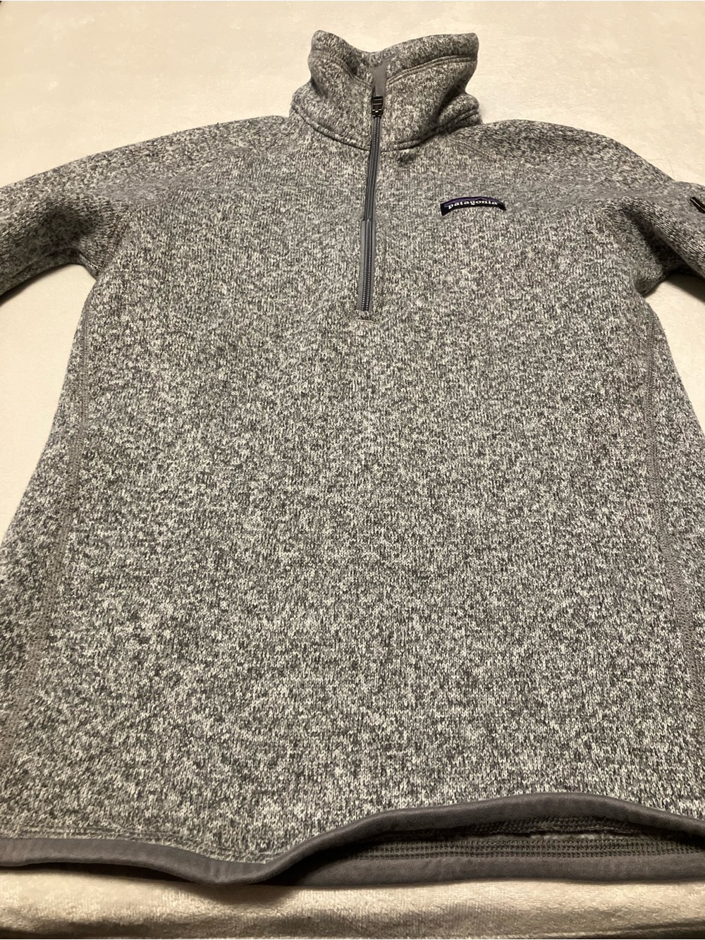 Patagonia Light Gray Fleece Hoodie with Logo Tag - Picture 2 of 4